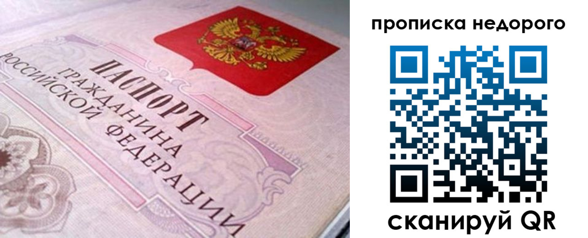 временная регистрация адрес в Жукове